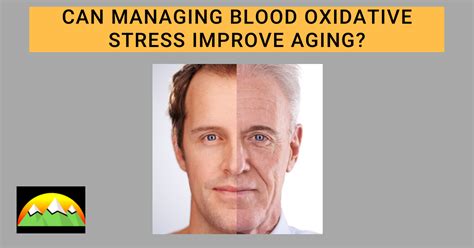 Learn How Oxidative Stress Impacts Aging in 2021 - Glixin