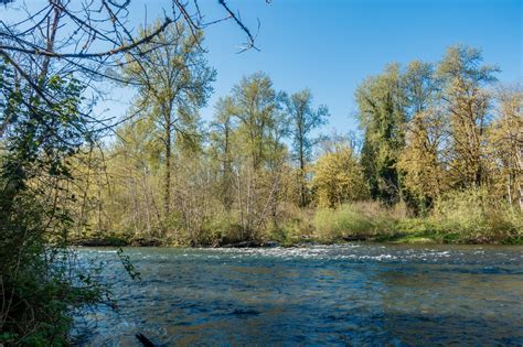 Working, Restoring Pacific Northwest Salmon Habitat - Atlas