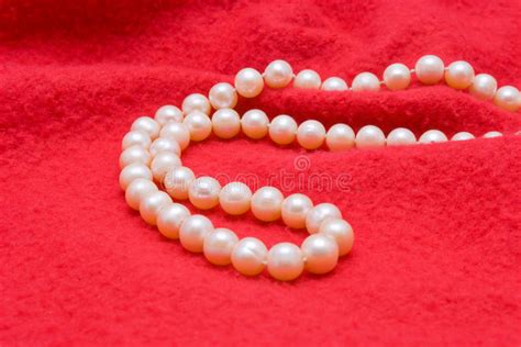 Pearl necklace stock photo. Image of jewel, fashion, elegant - 27708552
