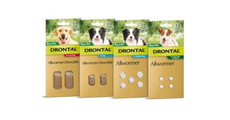 Drontal Plus Wormers - Vet Meds for Pets