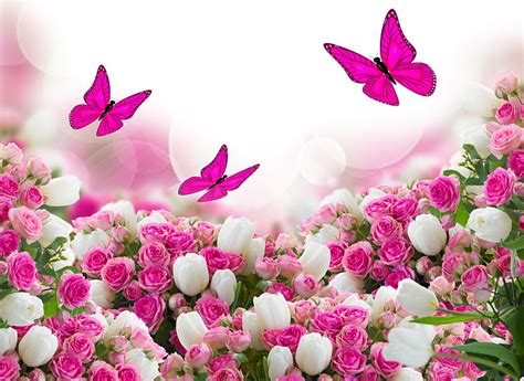 HD wallpaper: pink butterflies illustration, butterfly, flowers, roses, tulips | Wallpaper Flare