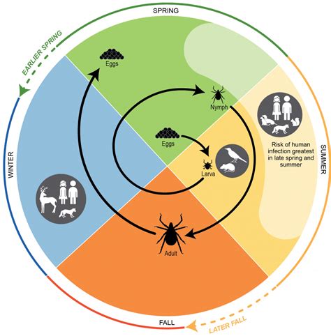 Chapter 5: Vector-Borne Diseases | Climate and Health Assessment