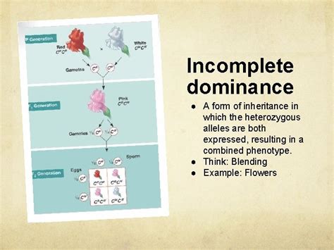 Genetics Incomplete and Codominant inheritance patterns Work with