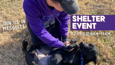 Shelter Event at Mesquite Animal Shelter, Mesquite Animal Shelter, February 19 2023 | AllEvents.in