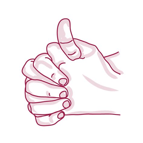 Linga mudra: Upright mudra. With palms together, clasp the fingers. Raise the farther thumb ...
