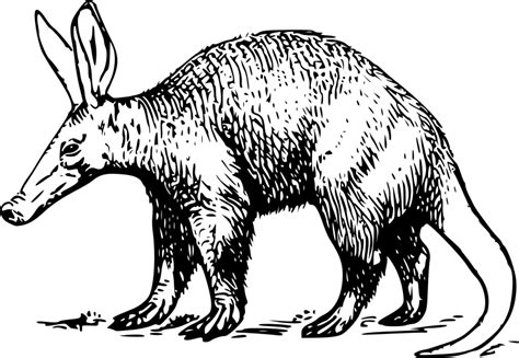 Free clip art "Aardvark" by papapishu