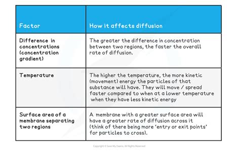 Factors Affecting the Rate of Diffusion (8.1.2) | Edexcel GCSE Biology ...