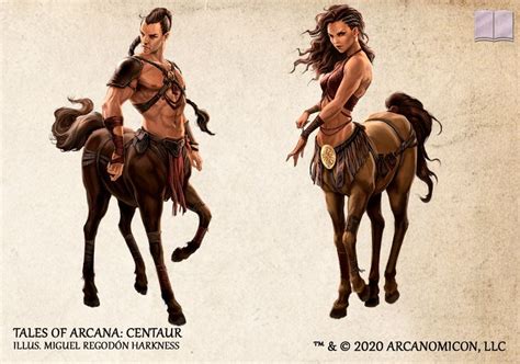 Tales of Arcana - Centaur | Centaur, Fantasy races, 5e races