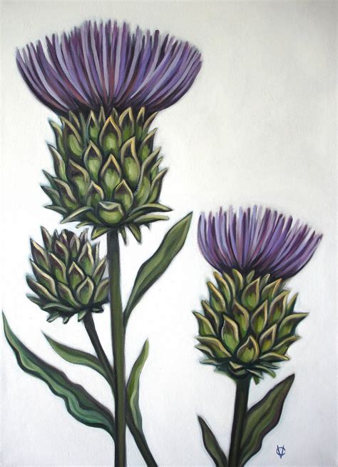 Scotland Thistle Drawing - Drawing.rjuuc.edu.np