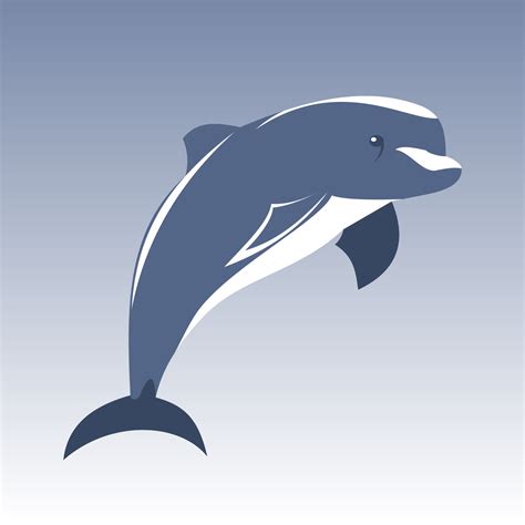 Vector for free use: Dolphin vector