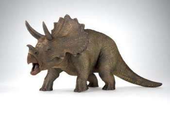 Dinosaurs Triceratops - Facts about the Triceratops Dinosaur.