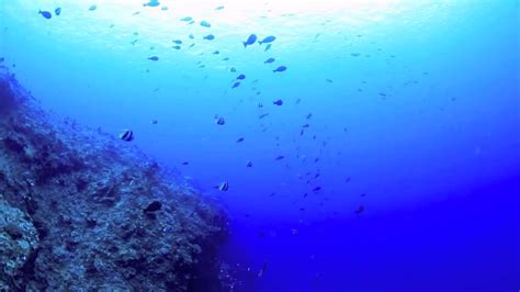 Scuba Diving in Yonaguni, Japan - YouTube