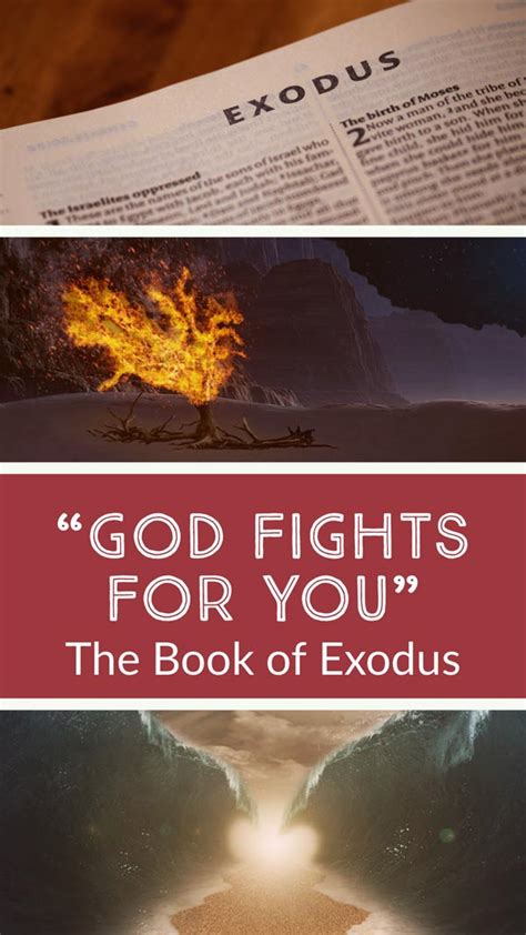 Exodus-Bible-Study-600-q50 - Zion Lutheran Church