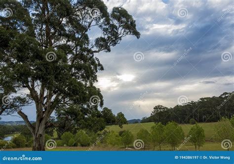 Australian Countryside Landscape, with Wide-ranging Field and Rolling Hills Stock Image - Image ...