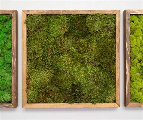 MOSS WALL ART - 16" SQ - MOOD MOSS BRWN in 2020 | Moss wall art, Moss ...