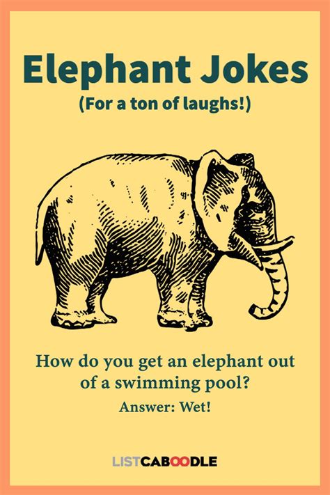 Funny elephant – Artofit