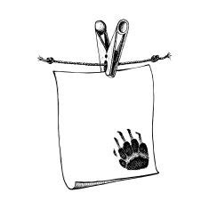 Badger footprint N2 free image download