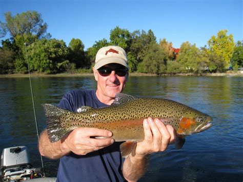 Fishing in TRINITY RIVER: The Complete Guide