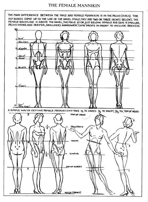 Female Anatomy Drawing Reference Guide | Drawin...