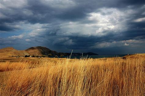 Steppe / grasland in 2020