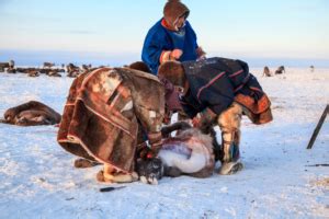 What is the Inuit Diet, and What Can it Teach Us? - Dr. Robert Kiltz