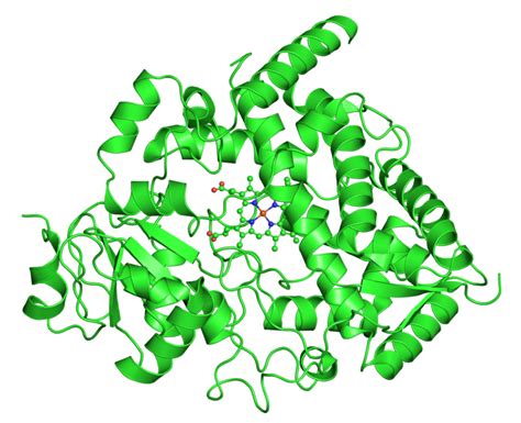 Interactions: Cytochrome p450 | Medicines Learning Portal