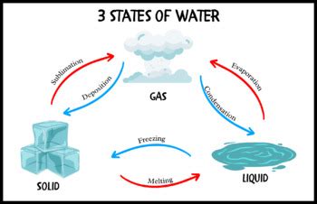 3 States of Water - simple diagram by among the fairies | TPT