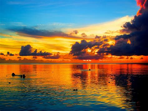 Ocean Sunset Palm Trees | Sea Sunset Palm Tree Guam hd Wallpaper ...