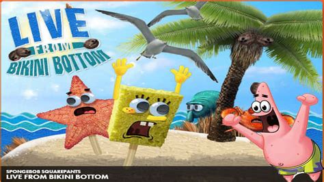 Nick Games | Spongebob Squarepants | Live From Bikini Bottom - YouTube