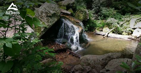 10 Best Waterfall Trails in Cherokee National Forest | AllTrails