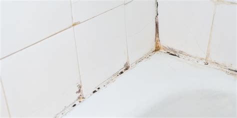 How to Clean Bathroom Tile and Grout | Reviews by Wirecutter