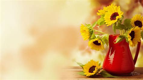 Autumn Flowers Life Bouquet Vase Bright Still Summer - Fall Flowers Desktop Backgrounds ...