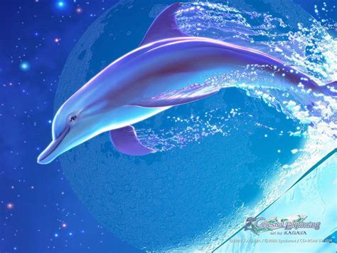 Cute Dolphin Wallpapers - Wallpaper Cave