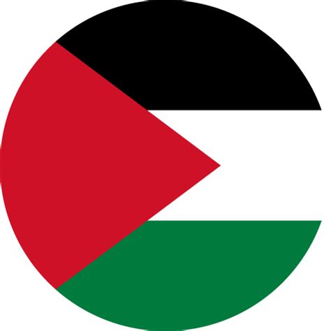 Palestine Flag Circle