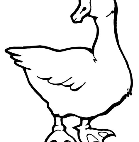 Gansos Colouring Pages Colouring Pages Flying Geese C - vrogue.co