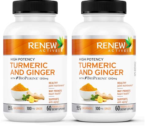 GINGER TURMERIC CURCUMIN Supplement Capsules: Organic Joint Support & Anti Inflammatory Pills ...