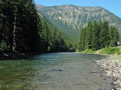 The Gallatin River in Montana : Fly Fishing Information, Photos ...