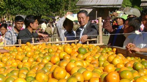 Manipur's Tamenglong gears up to host 12th edition of Orange Festival