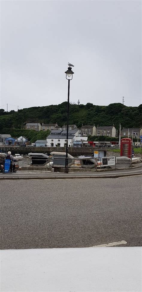 The Square At Porthleven - Restaurant Reviews, Phone Number & Photos - TripAdvisor