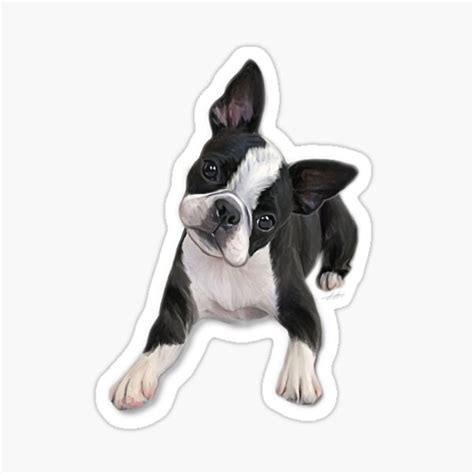 Boston Terrier Stickers | Redbubble