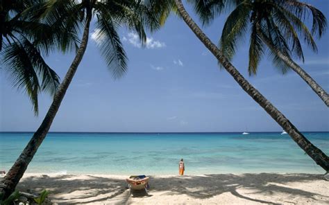 Top things to do on the west coast of Barbados