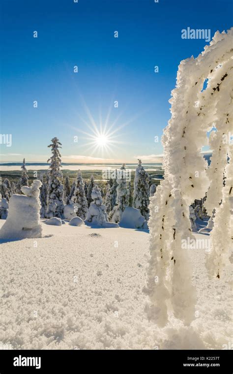 Beautiful Winter landscape in Lapland in Northern Finland Stock Photo ...