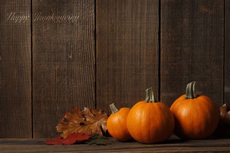 Thanksgiving Day 2012: Free HD Thanksgiving Wallpapers for iPad and ...