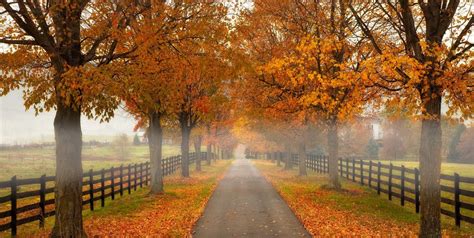 63 Fall Season Quotes - Best Sayings About Autumn