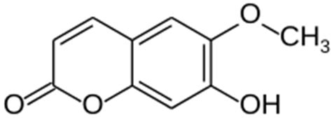 The structure of scopoletin. | Download Scientific Diagram