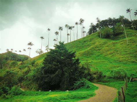 Hiking Valle de Cocora in Salento, Colombia: What NOT to Do
