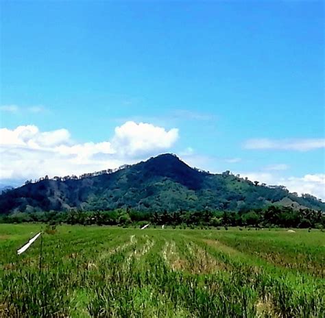 The mountain view of bukidnon | Photos and Images | Nature