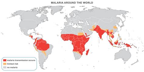 New Malaria Meds Aim to Fight Drug Resistance