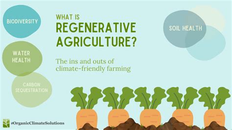 What is Regenerative Agriculture? – The Organic Council of Ontario