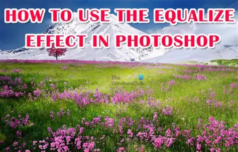 How to use the Equalize Effect in Photoshop